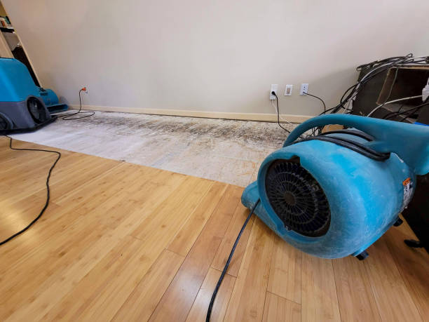 Professional Emergency Water Damage technician working in Medford, MN
